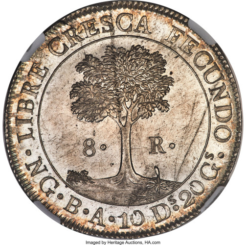 8 reales - Central America