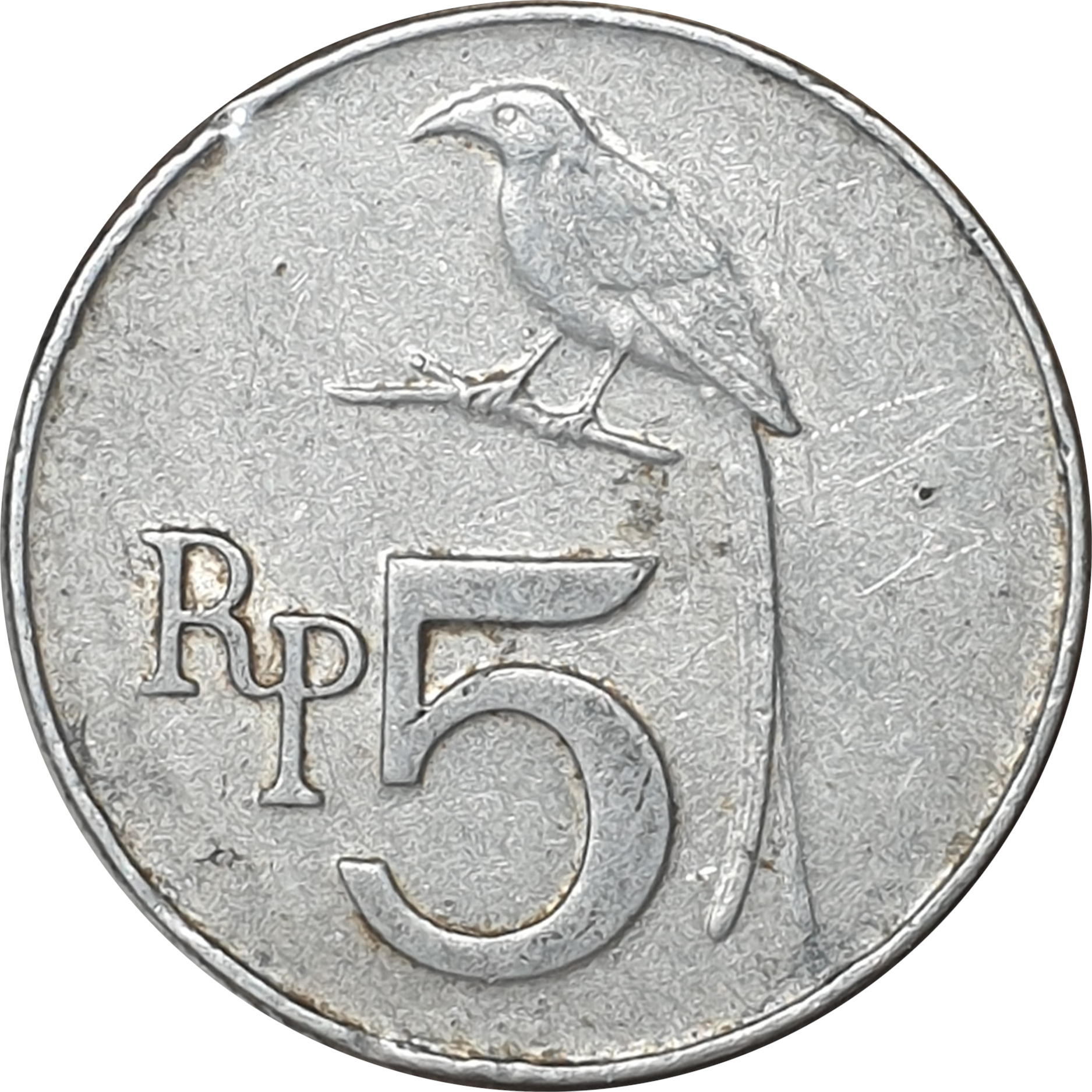 5 rupiah - Black drongo