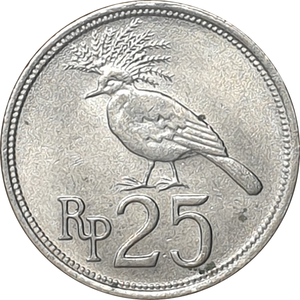 25 rupiah - Oiseau