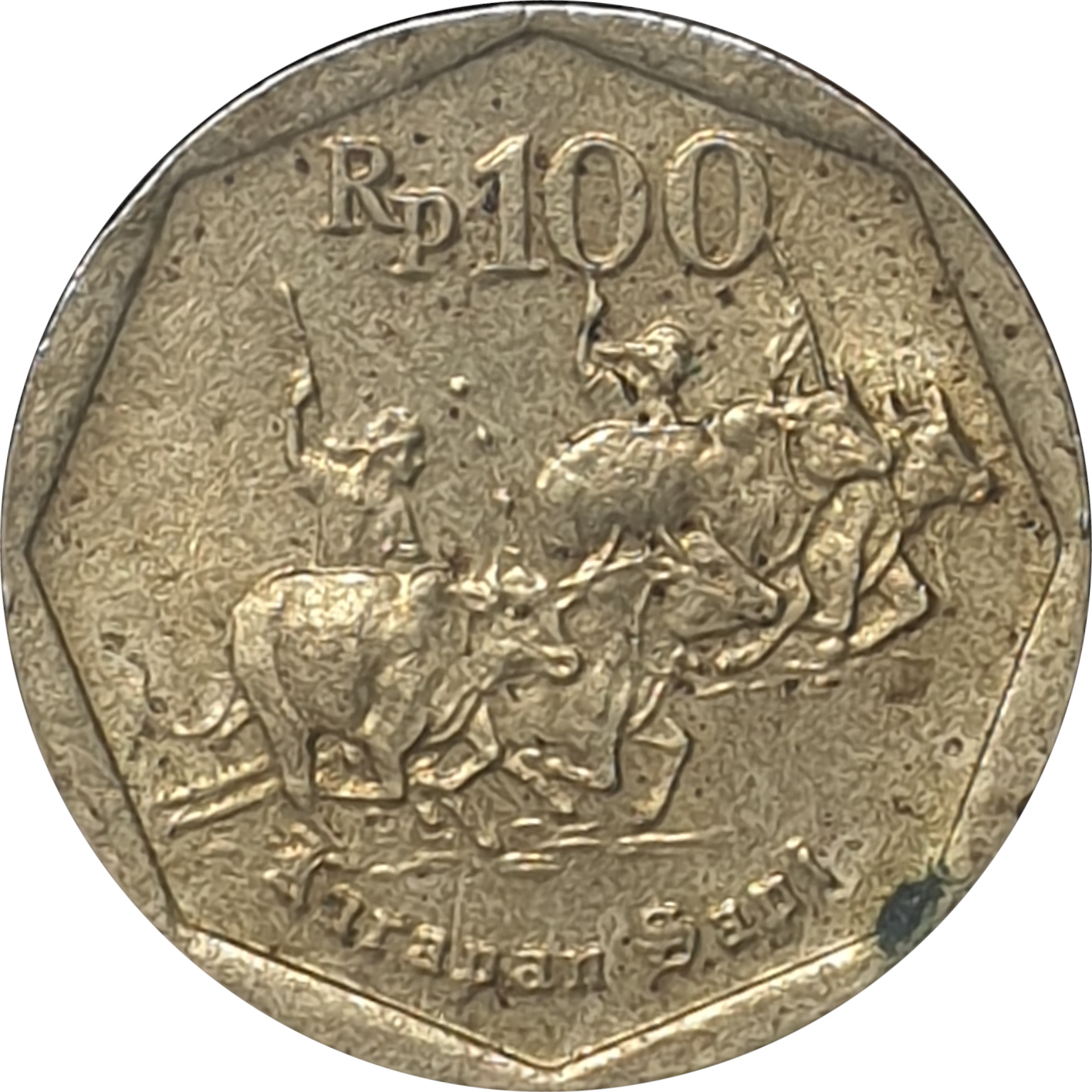100 rupiah - Course de taureau