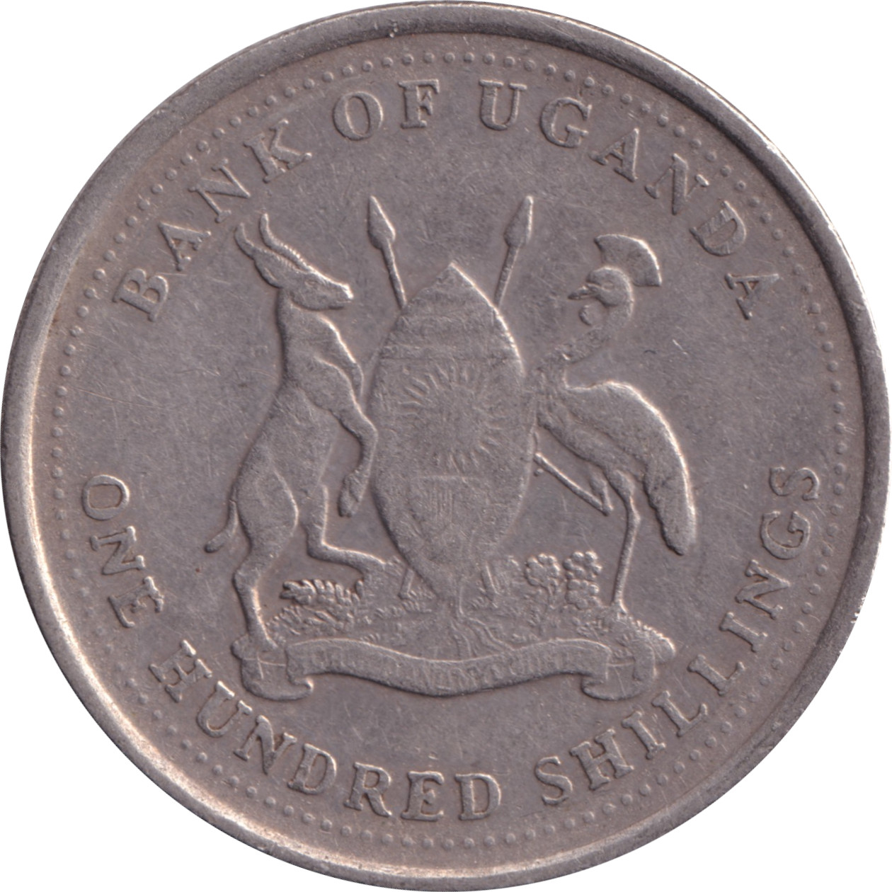100 shillings - Buffle d'Afrique