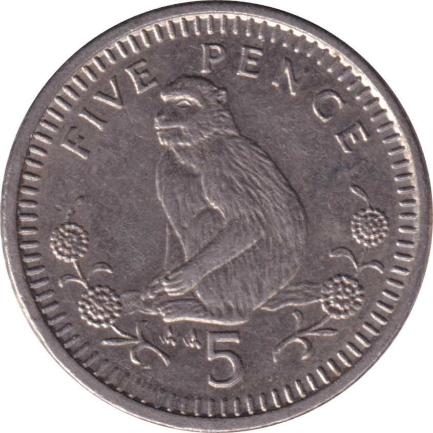 5 pence - Elizabeth II - Tête mature - Type léger