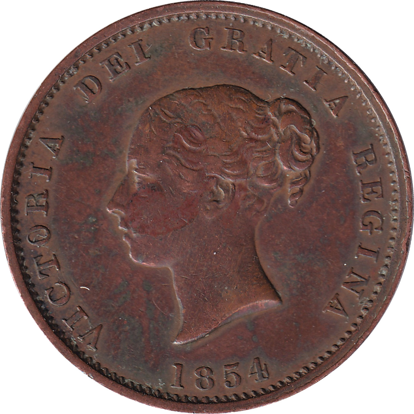 1/2 penny - Victoria - Mature head