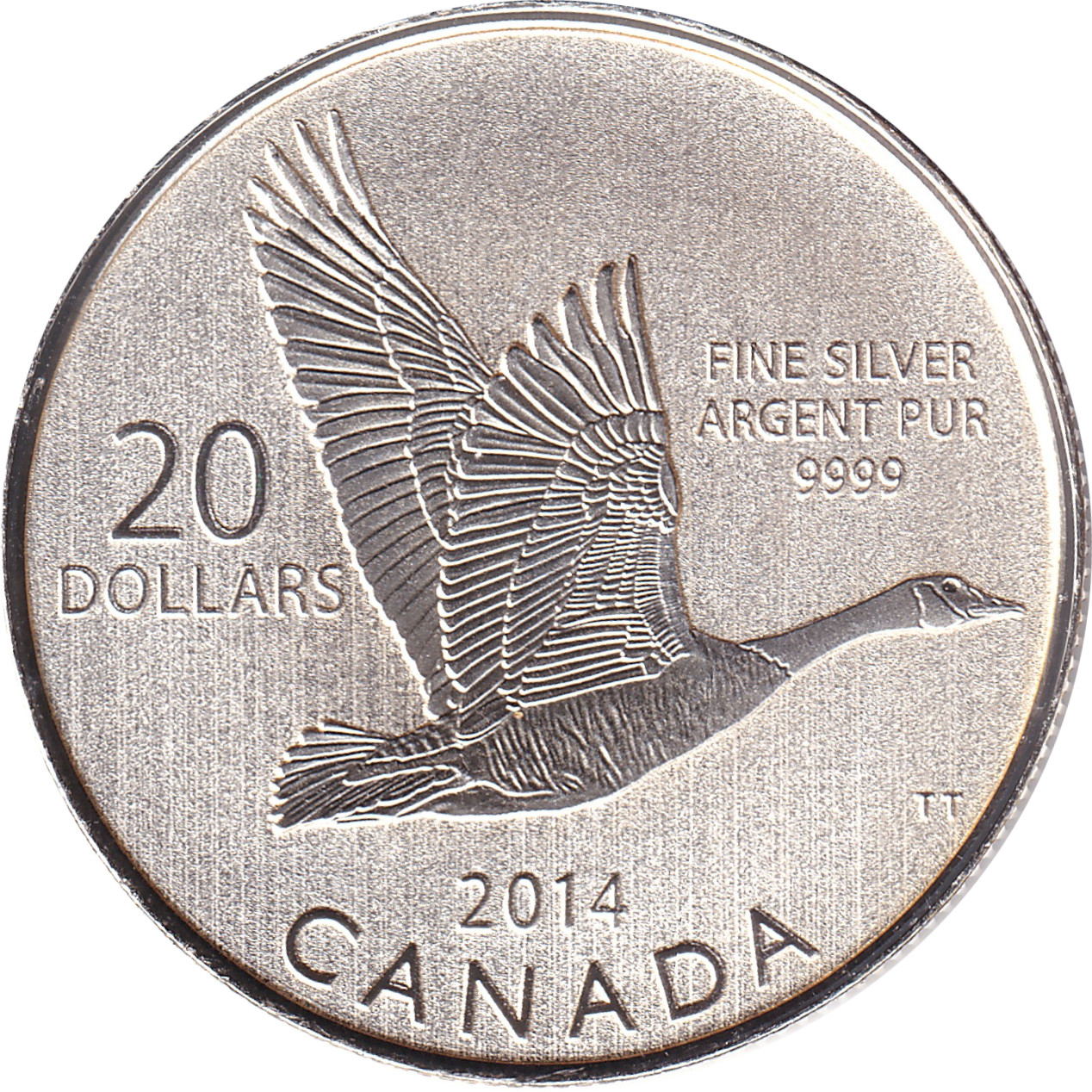 20 dollars - Bernache of Canada